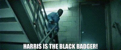 central intelligence cast|who is black badger in central intelligence.